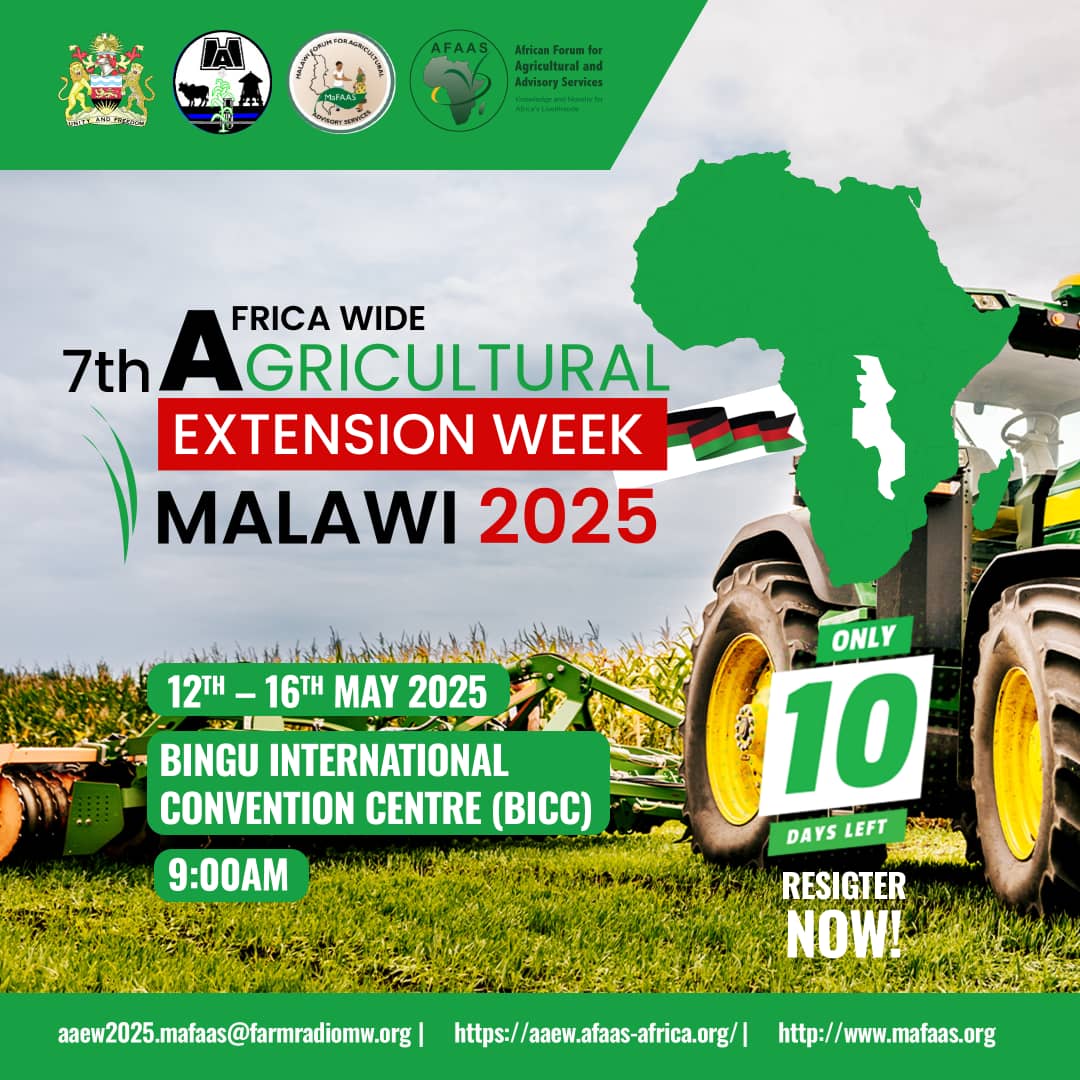 Government Press Briefing on AAEW